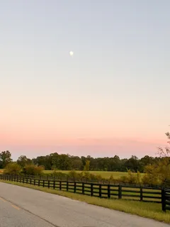 $475,000 | 7810 West Lick Creek Road, Primm Springs, TN 38476