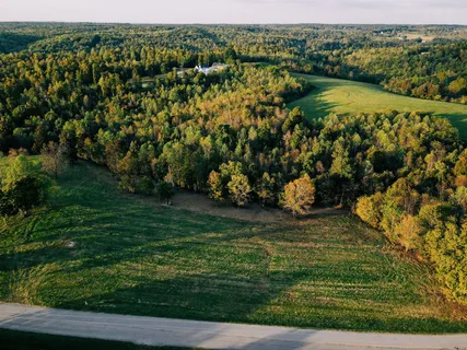 $475,000 | 7810 West Lick Creek Road, Primm Springs, TN 38476