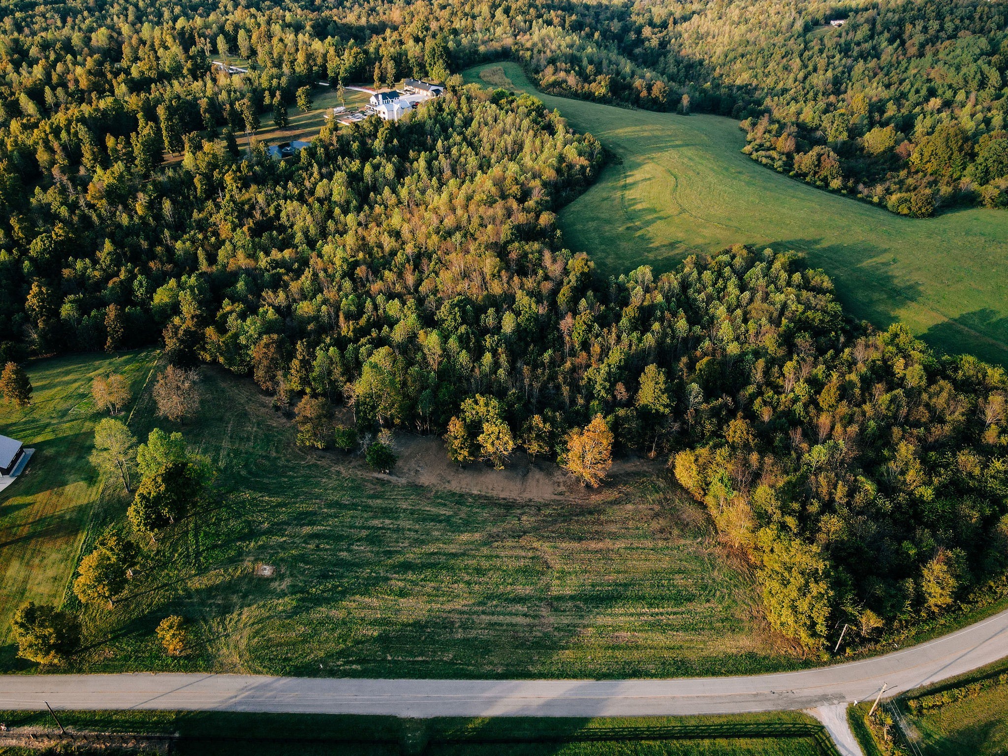 7810 West Lick Creek Road Primm Springs, TN 38476 - Photo 9 of 39 a view of a yard