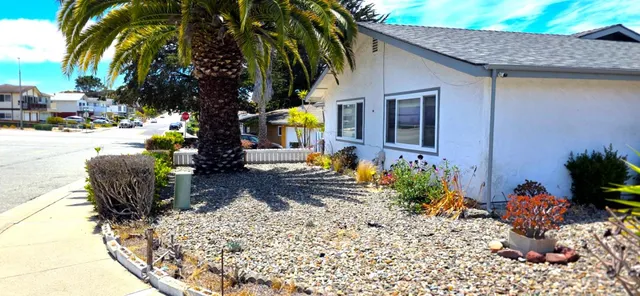 a front view of a house with a yard outdoor seating and covered with potted plants