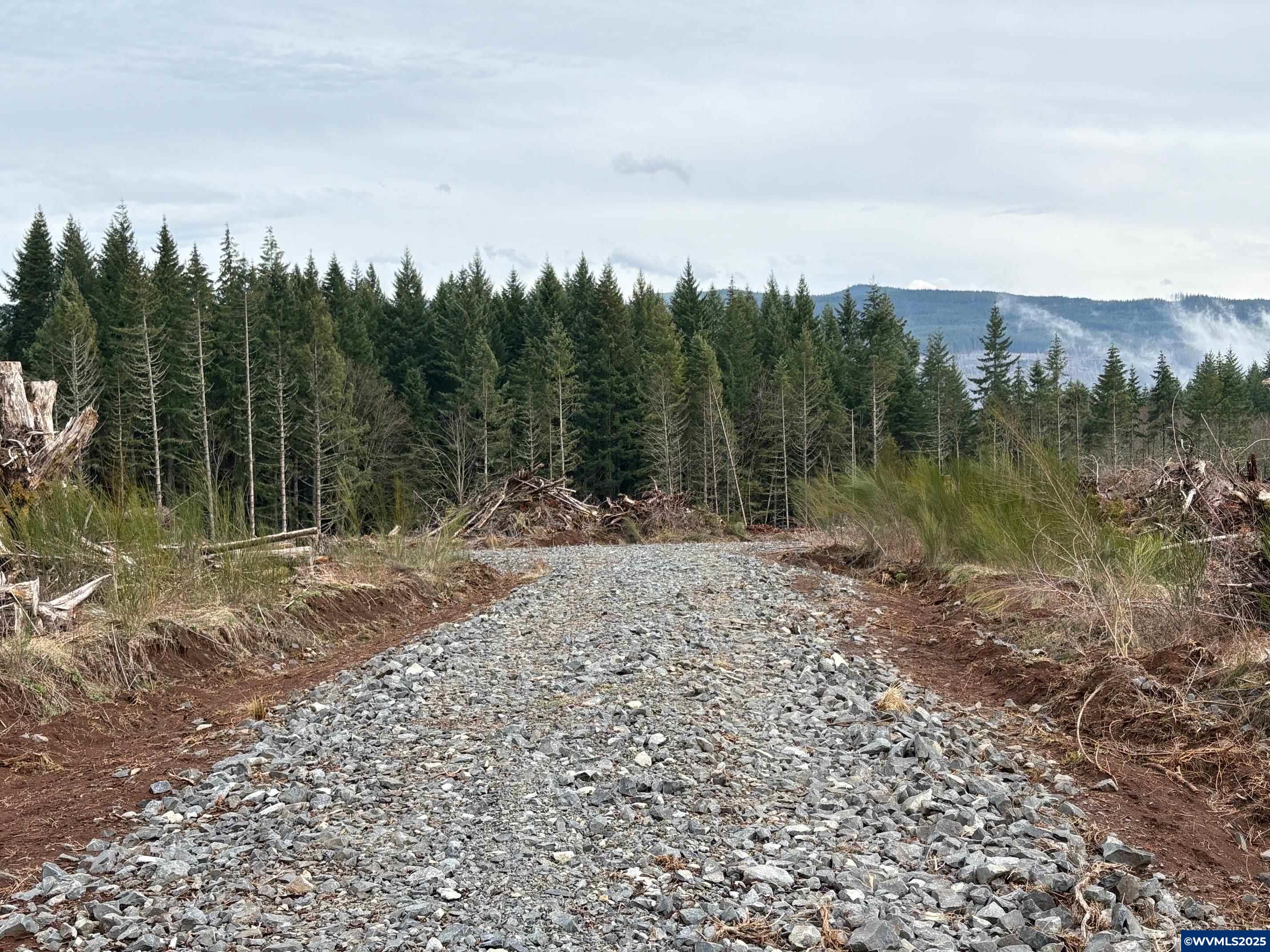 0 South Hardy Road Molalla, OR 97038 - Photo 15 of 26