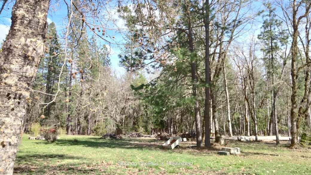 575 Kirkham Road Cave Junction, OR 97523 - Photo 11 of 45 a view of outdoor space with trees