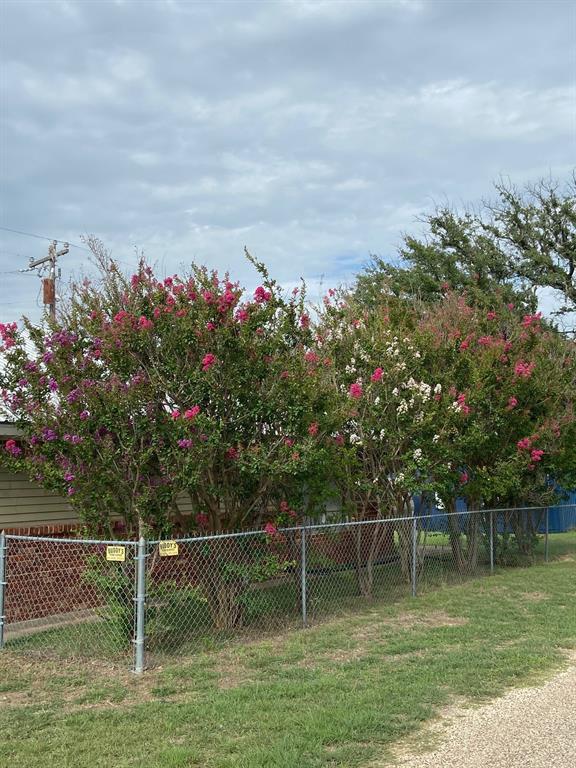 104 County Road 1296 Morgan, TX 76671 - Photo 23 of 27 a backyard of a house with lots of green space and plants