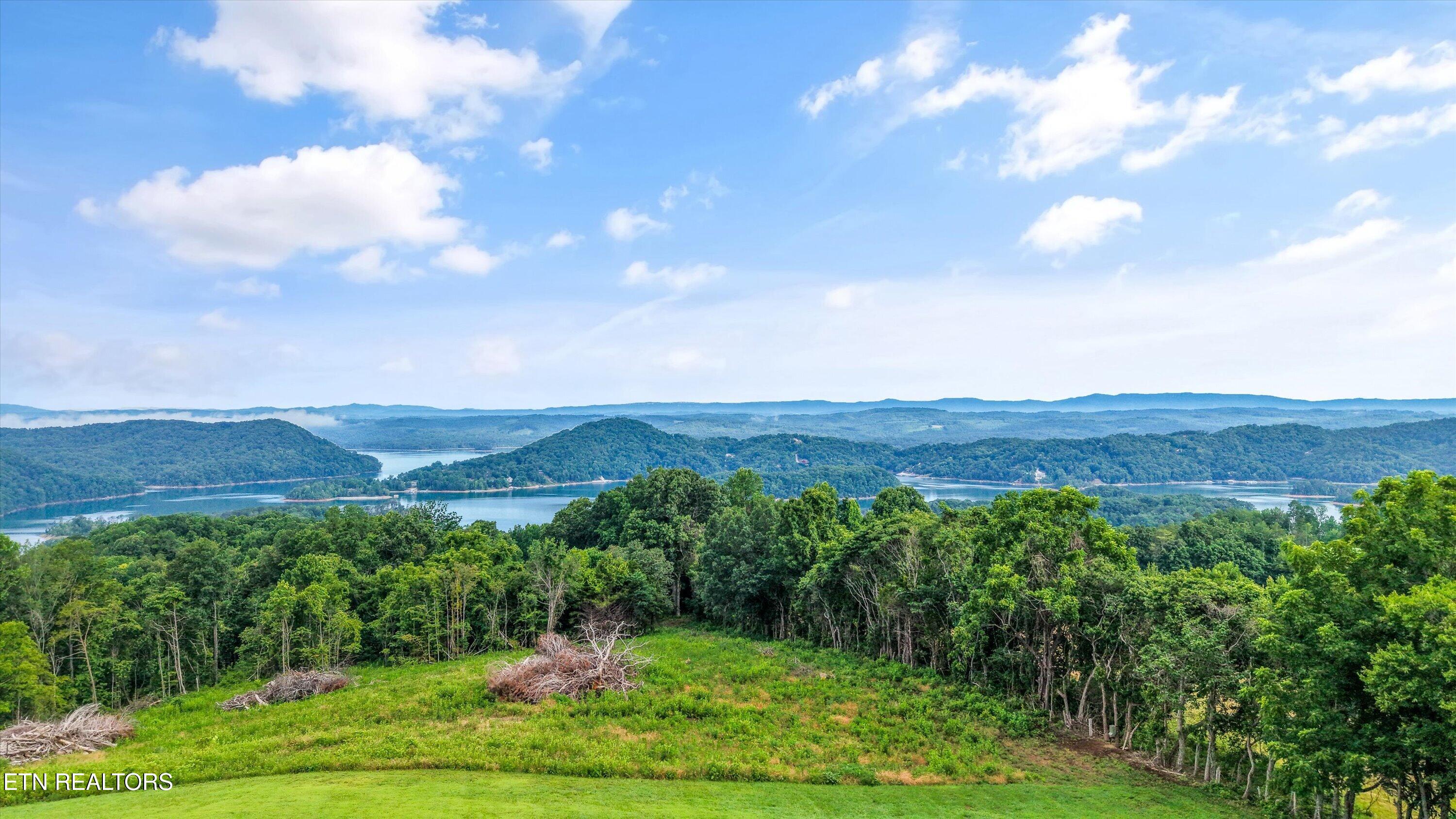Lot 2 Graves Hollow Road Maynardville, TN 37807 - Photo 2 of 8 3-Graves Hollow Rd03