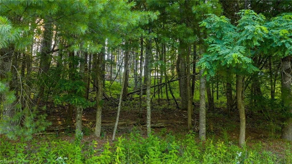 16 Bill Cooper Road Crumpler, NC 28617 - Photo 21 of 21