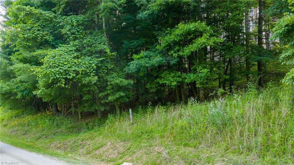 16 Bill Cooper Road Crumpler, NC 28617 - Photo 3 of 21