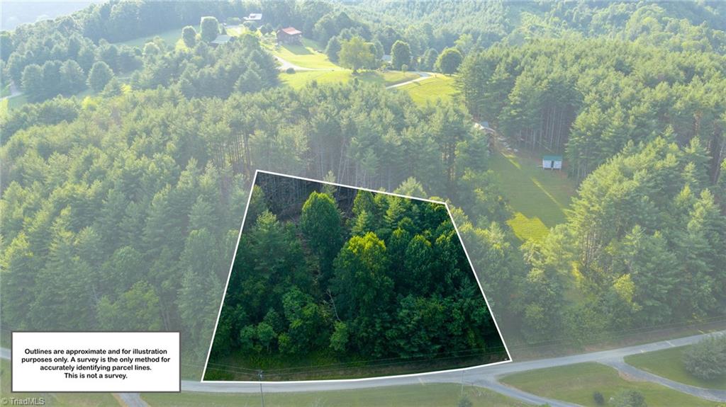 16 Bill Cooper Road Crumpler, NC 28617 - Photo 7 of 21