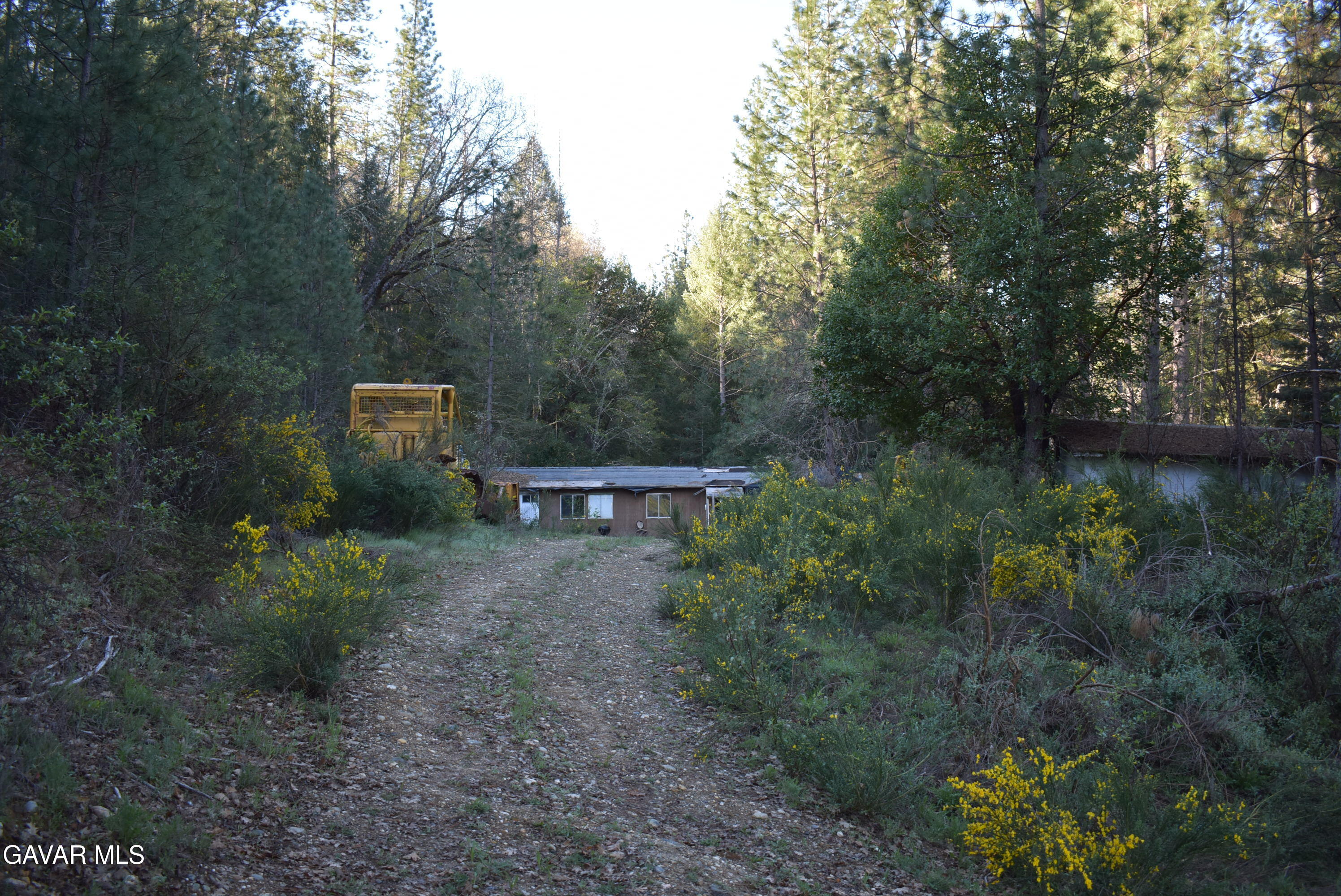 14550 Grizzly Hill Road Nevada City, CA 95959 - Photo 14 of 53 a view of a outdoor space