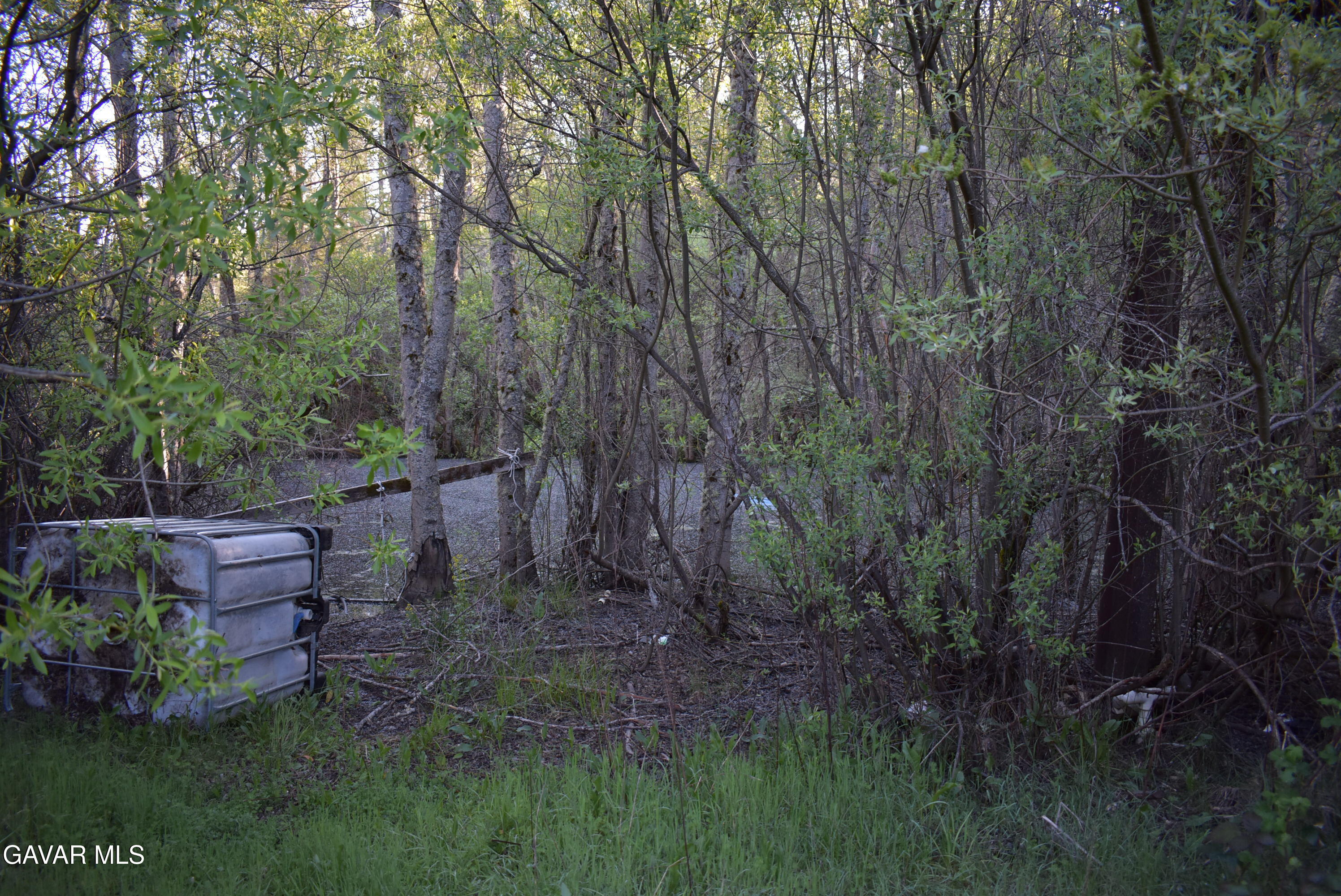 14550 Grizzly Hill Road Nevada City, CA 95959 - Photo 22 of 53 a view of a yard with large trees