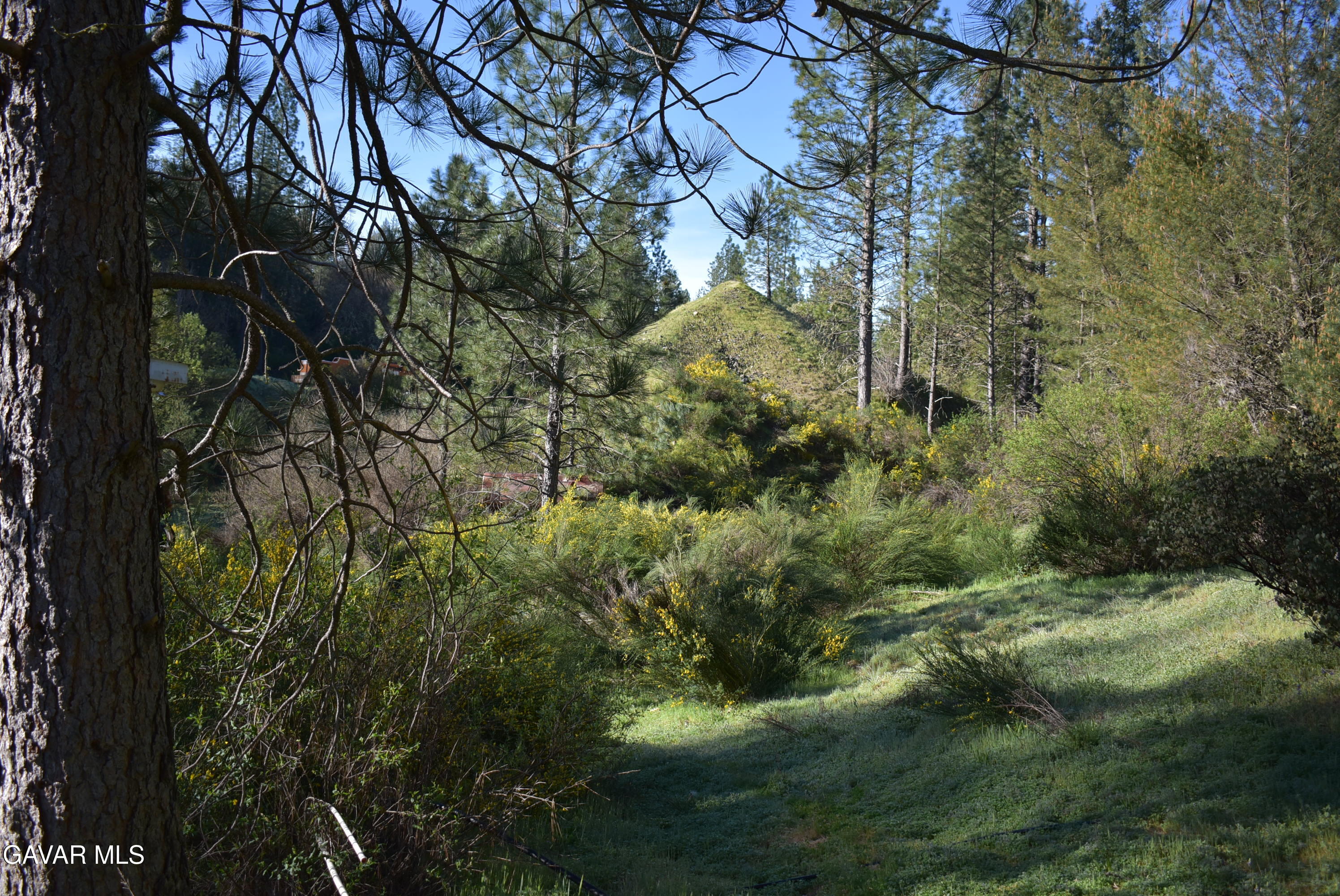 14550 Grizzly Hill Road Nevada City, CA 95959 - Photo 26 of 53 a view of a garden