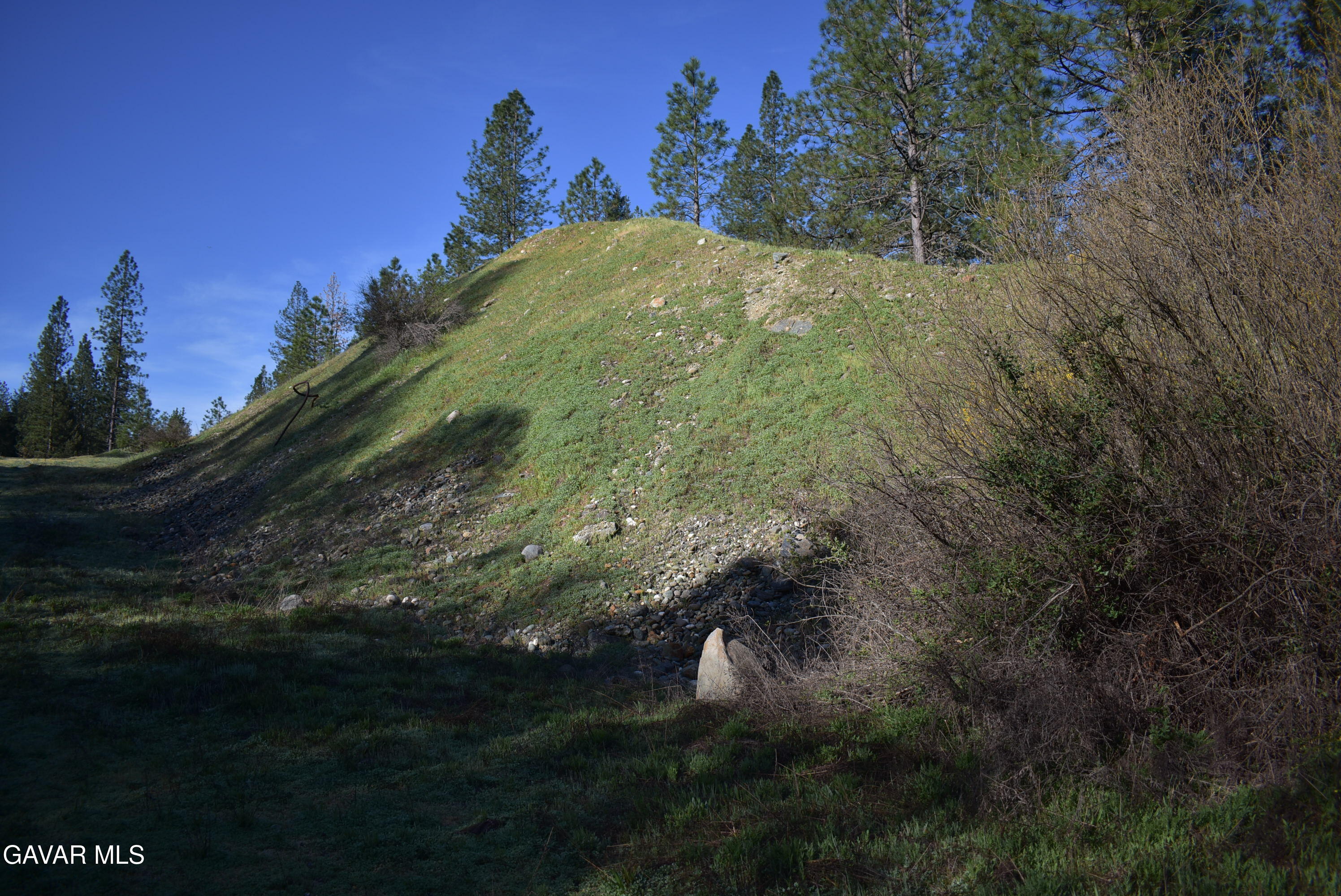 14550 Grizzly Hill Road Nevada City, CA 95959 - Photo 29 of 53 a view of a yard in a yard