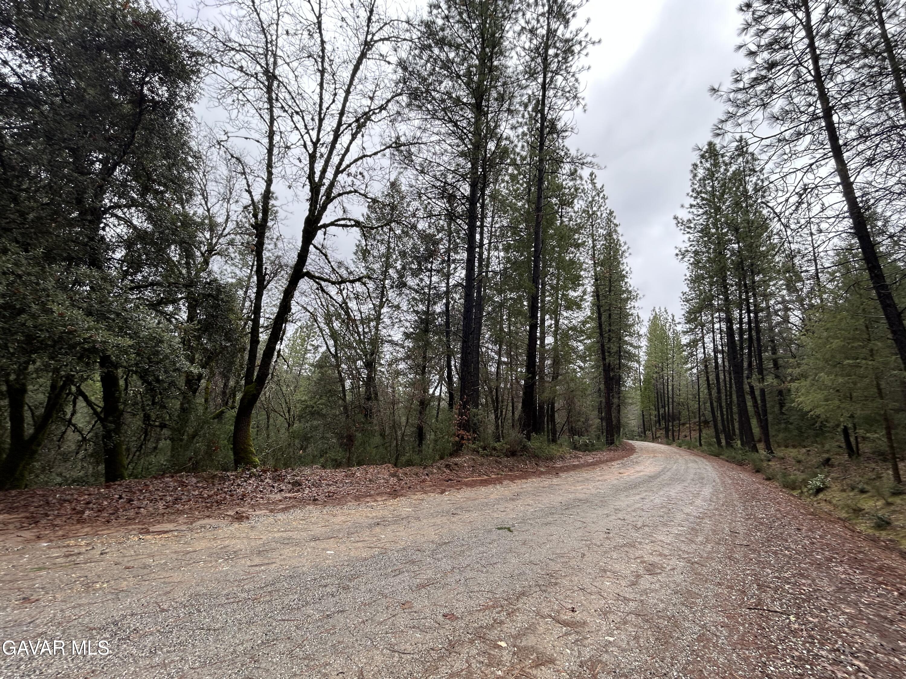 14550 Grizzly Hill Road Nevada City, CA 95959 - Photo 3 of 53 a view of outdoor space with trees