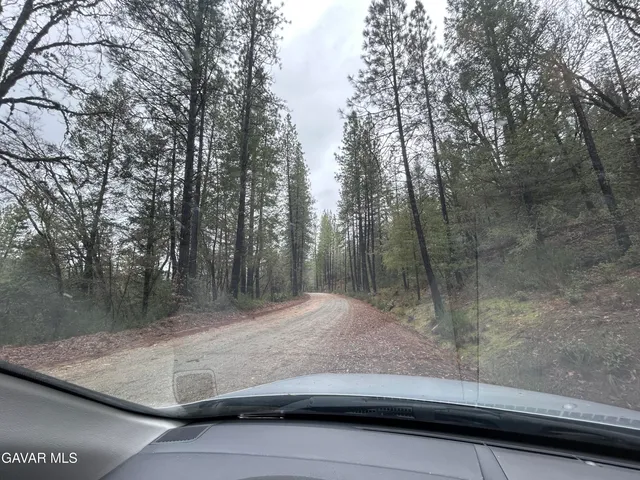 a view of backyard with green space