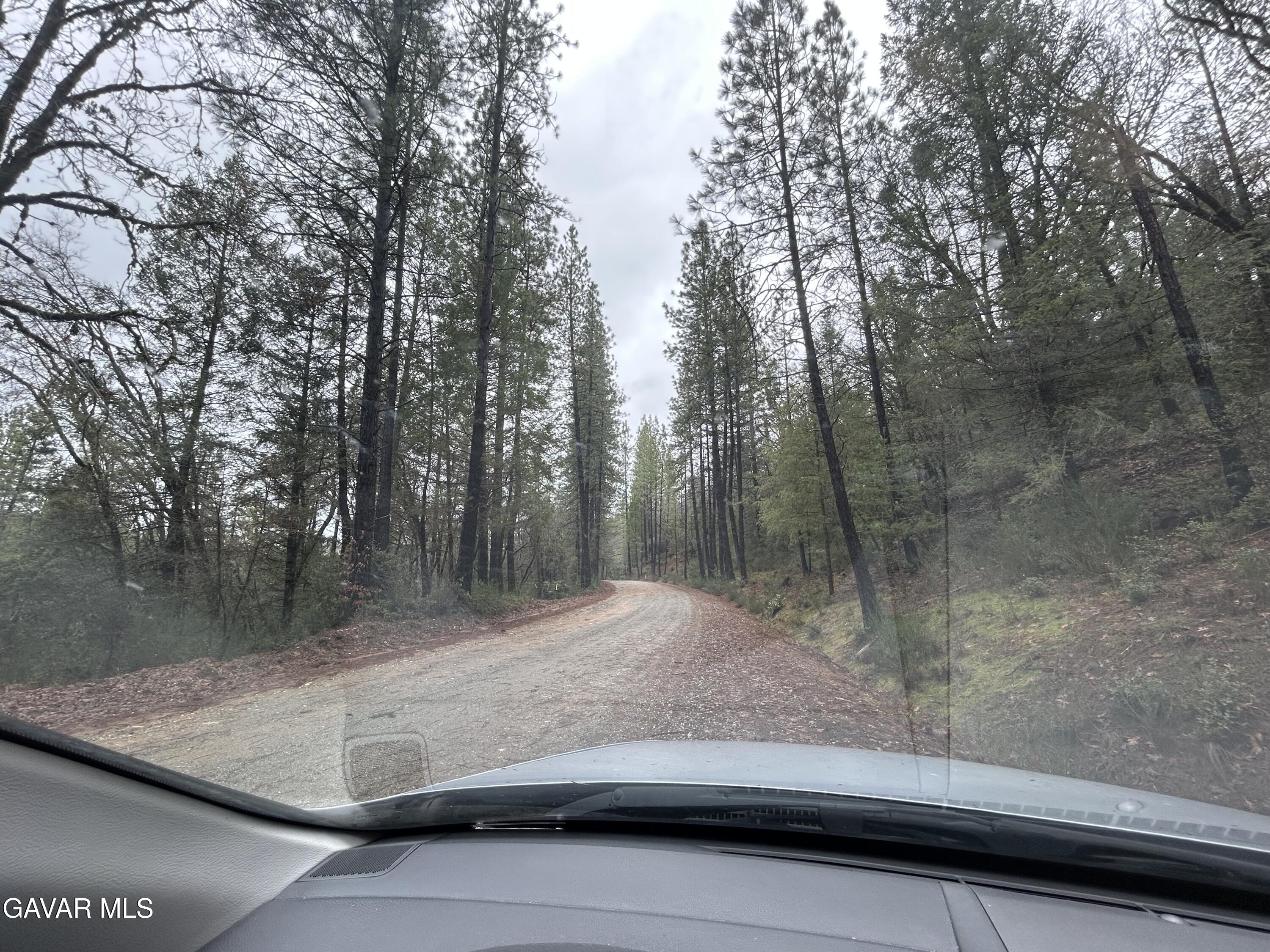 14550 Grizzly Hill Road Nevada City, CA 95959 - Photo 4 of 8 a view of backyard with green space