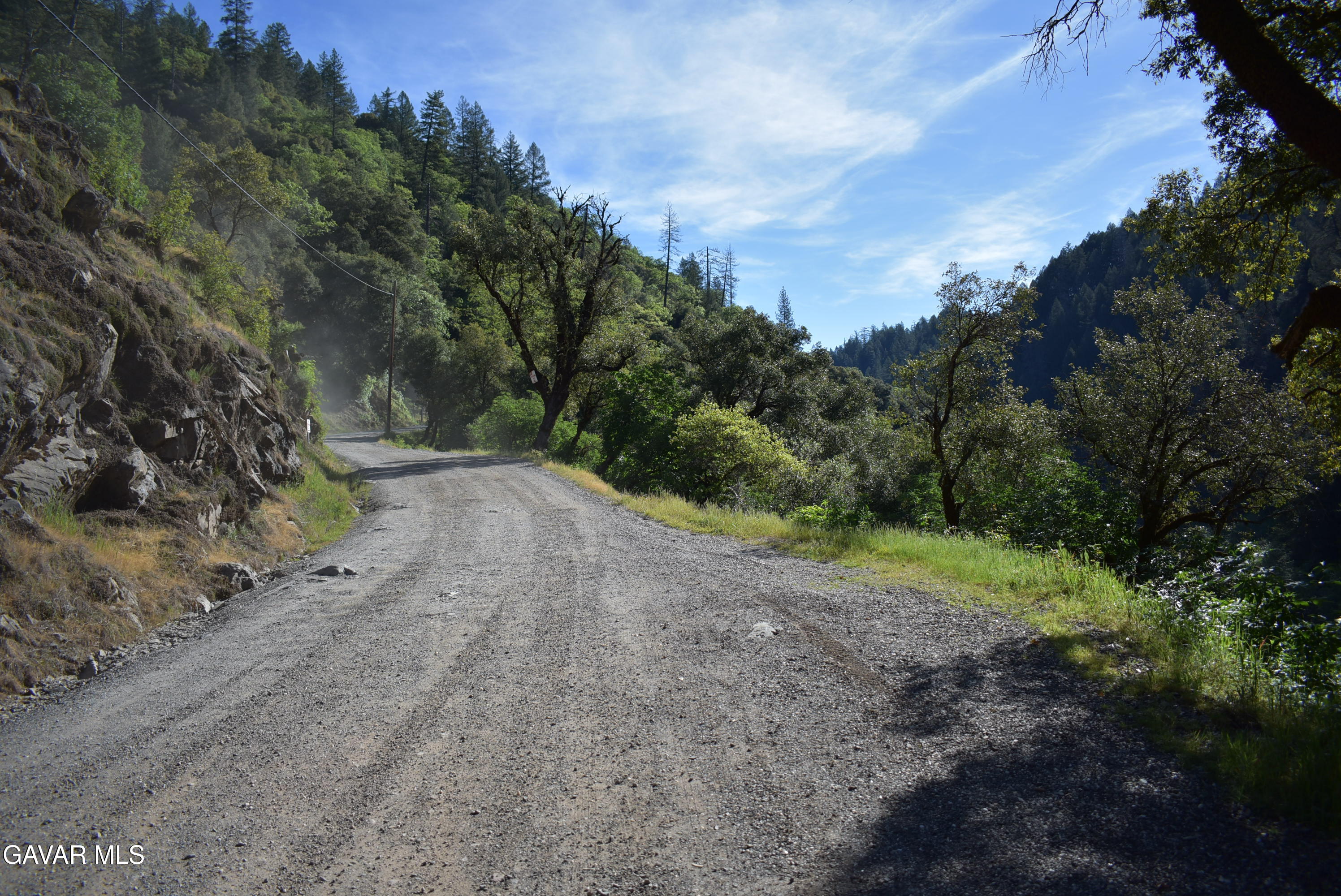 14550 Grizzly Hill Road Nevada City, CA 95959 - Photo 49 of 53 a view of a yard with a tree