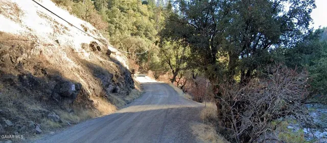 a view of backyard with wooden floor and large trees