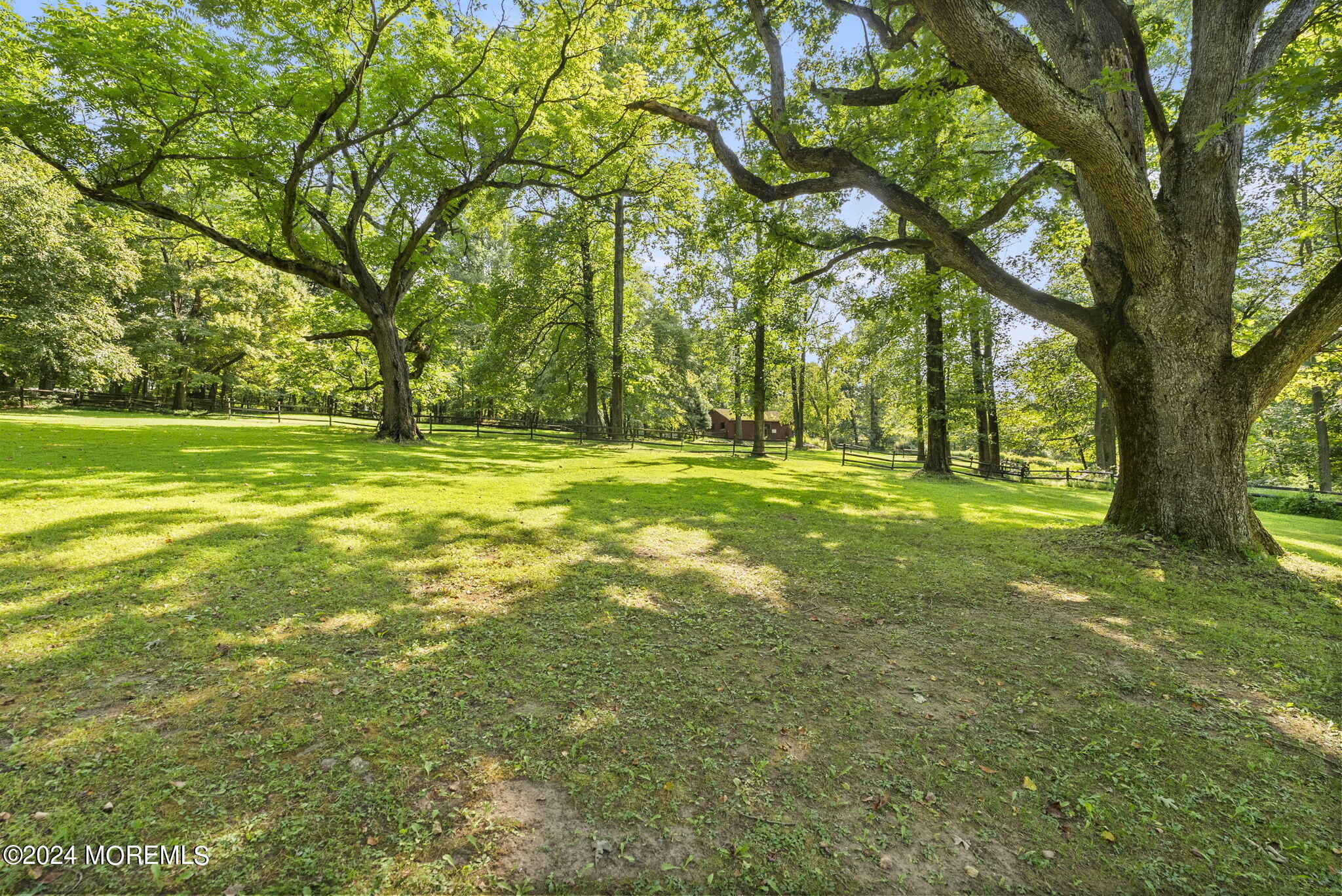 151 Summerfield Road Belvidere, NJ 07823 - Photo 40 of 41 a yard with trees in the background