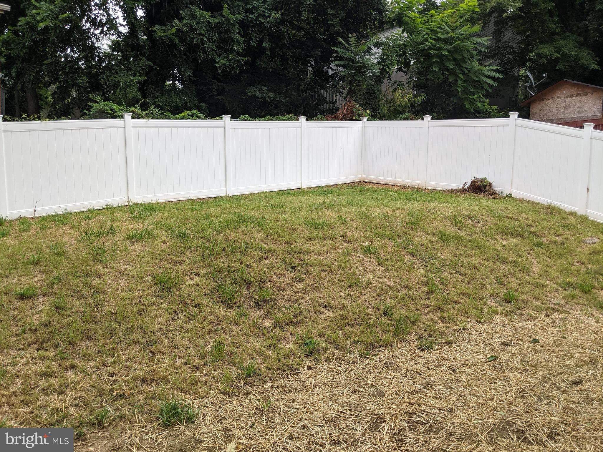 4616 Heath Street, Unit B Capitol Heights, MD 20743 - Photo 14 of 25 a view of yard with large trees