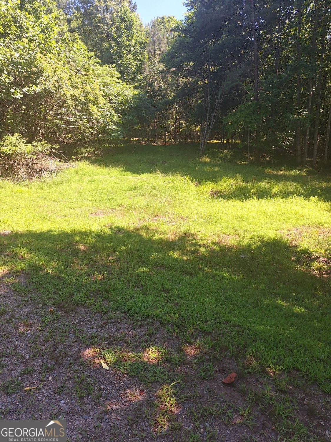 0 Judah Road Morganton, GA 30560 - Photo 8 of 8