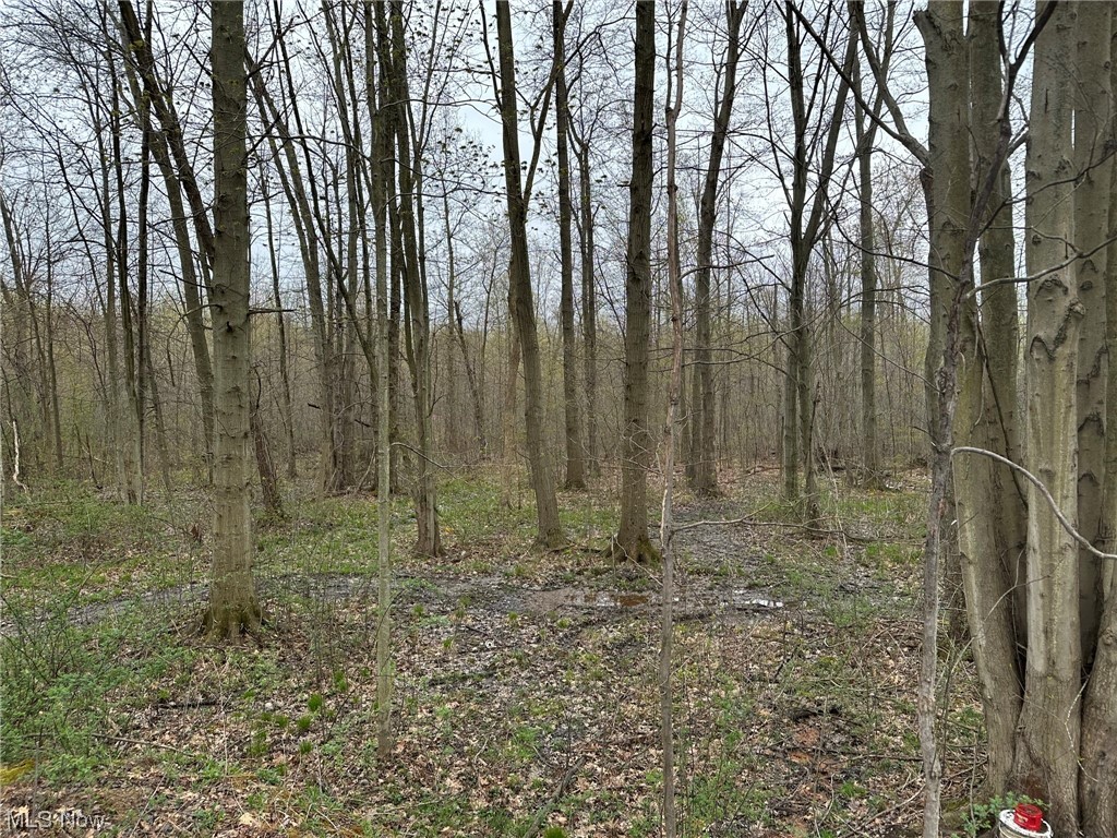 6142 North Bend Road Ashtabula, OH 44004 - Photo 3 of 14