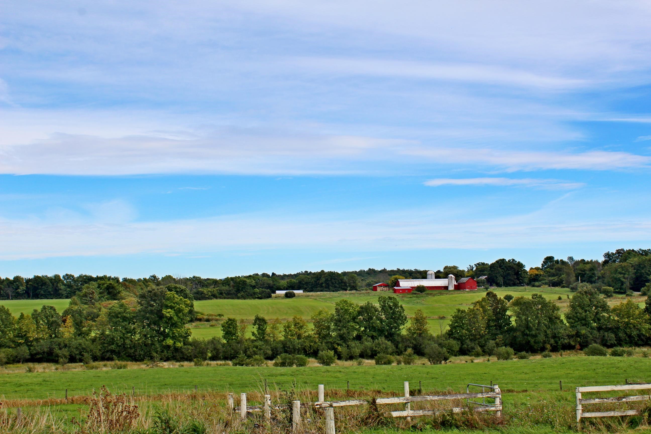 812 Wooster Road Cornwall, VT 05778 - Photo 21 of 29 Gallery Image 21