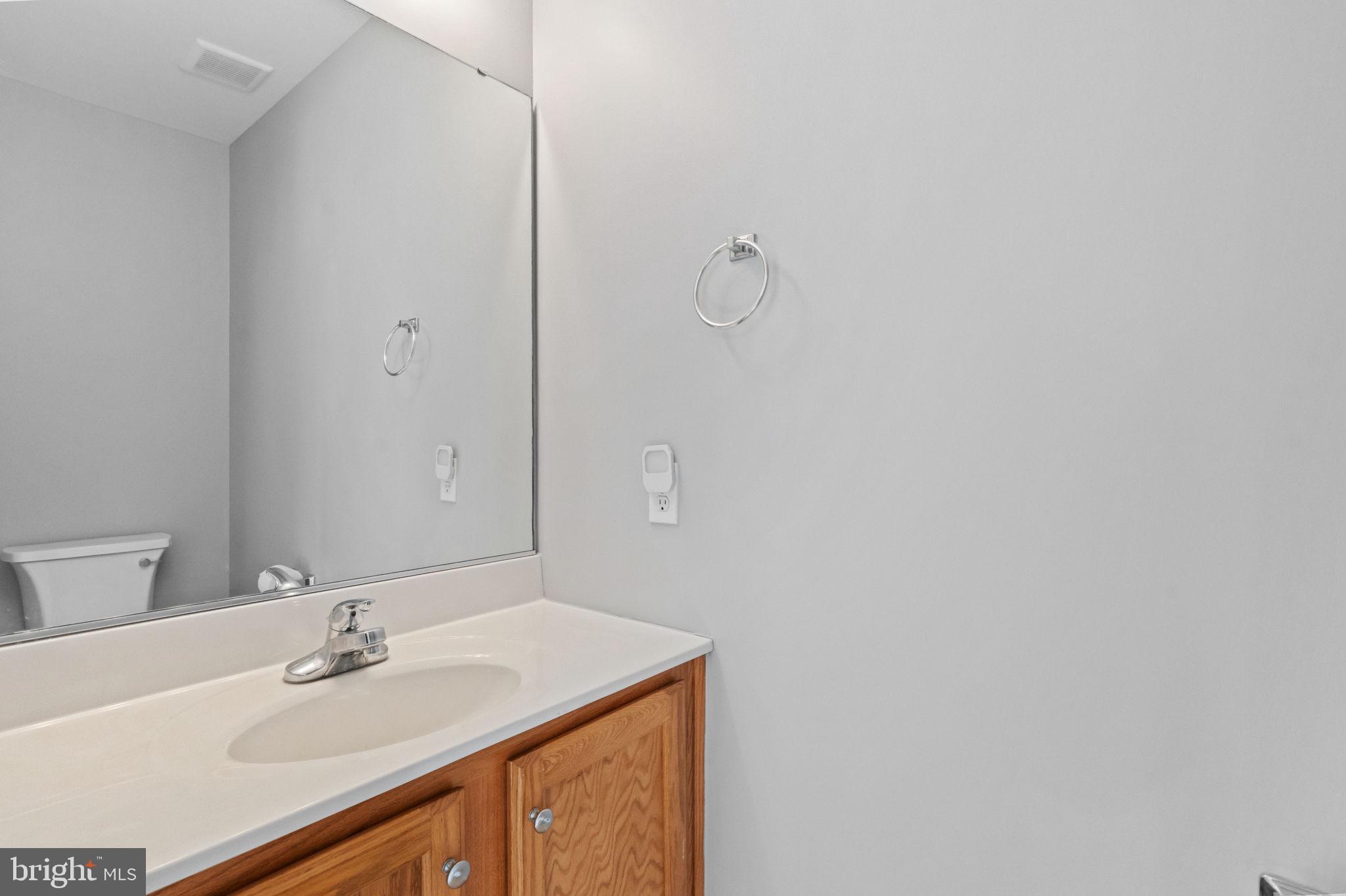 1014 Daisy Drive Temple, PA 19560 - Photo 28 of 83 a bathroom with a sink and a mirror
