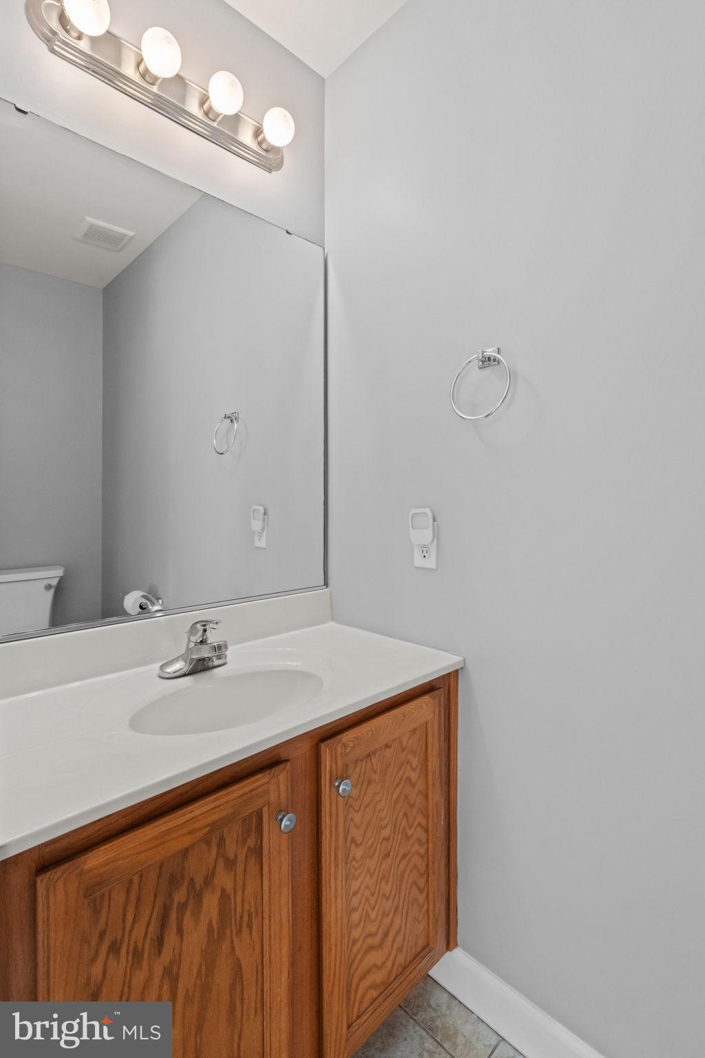 1014 Daisy Drive Temple, PA 19560 - Photo 29 of 83 a bathroom with a sink a vanity and a mirror