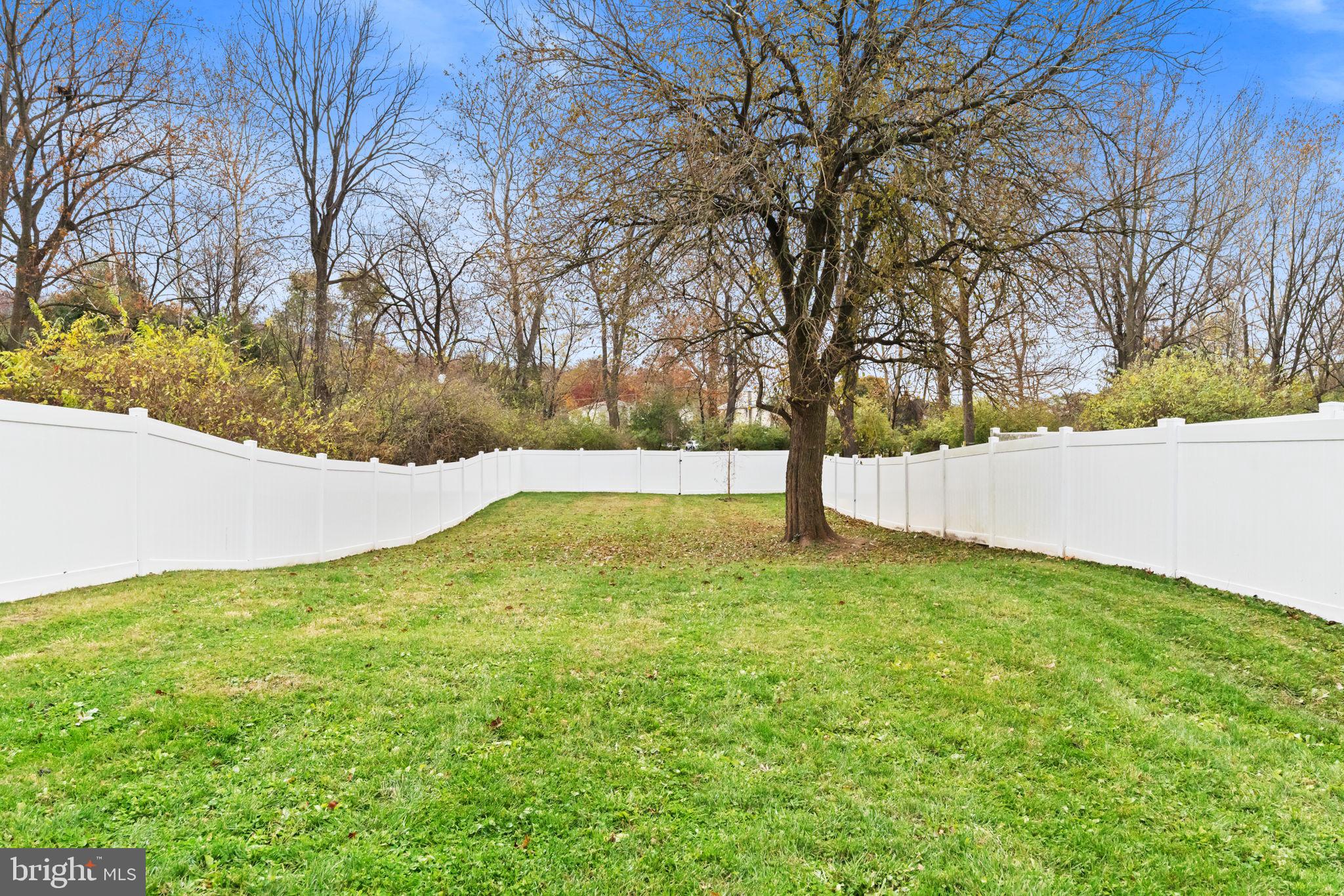 1014 Daisy Drive Temple, PA 19560 - Photo 77 of 83 a view of yard with trees