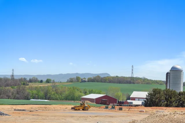 a view of a lake with lawn chairs and large tree