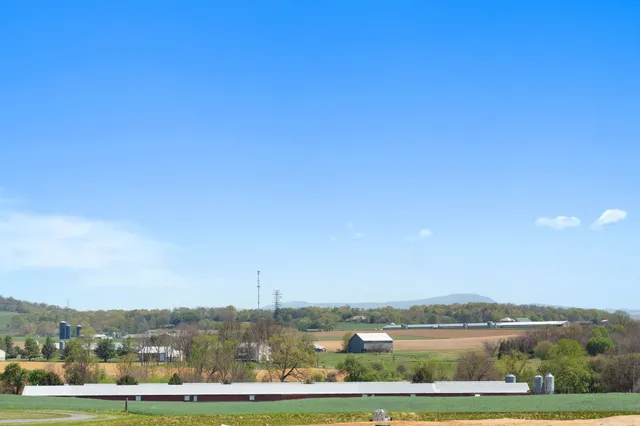 a view of big with large trees