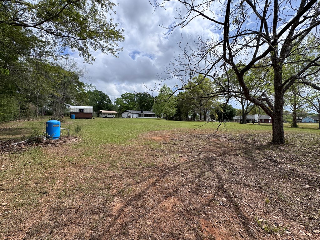 2501 Bethlehem Road Midland City, AL 36350 - Photo 27 of 29