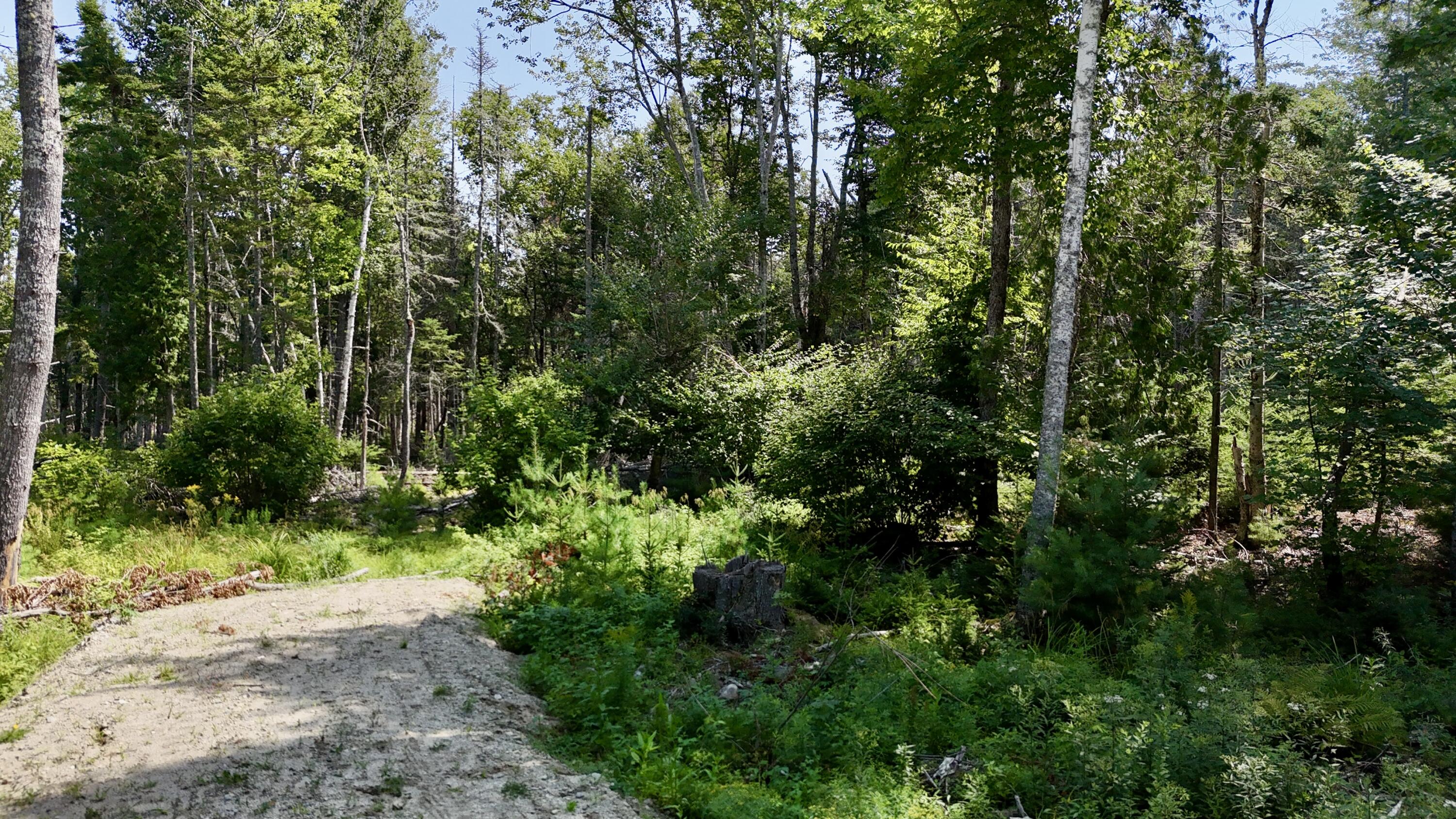 M08-l044-d Flye Point Road Brooklin, ME 04616 - Photo 2 of 7 dji_fly_20260812_112410_0277_17865484528