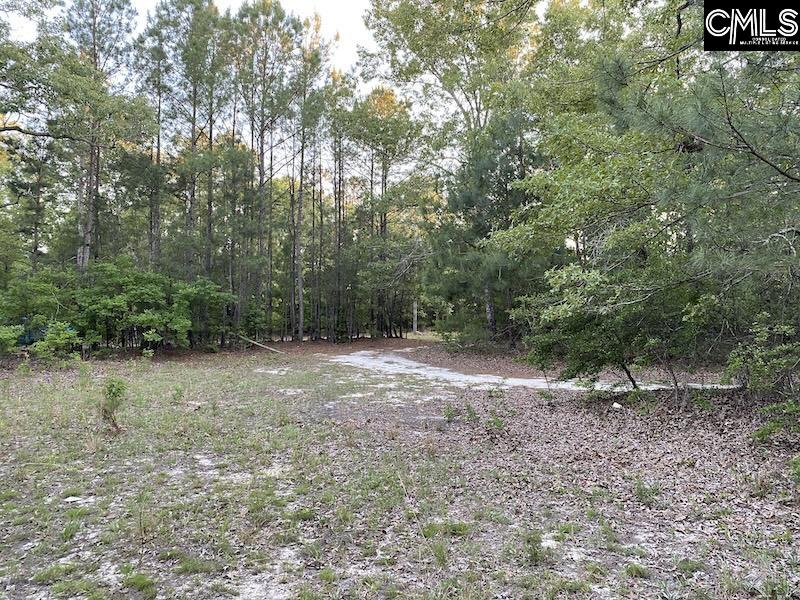 1155 Jones-Wire Road Swansea, SC 29160 - Photo 4 of 6