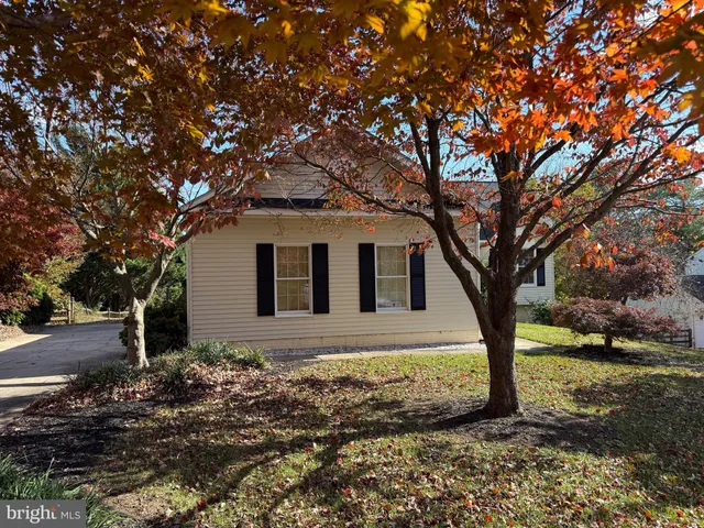 a big tree in middle of the garden