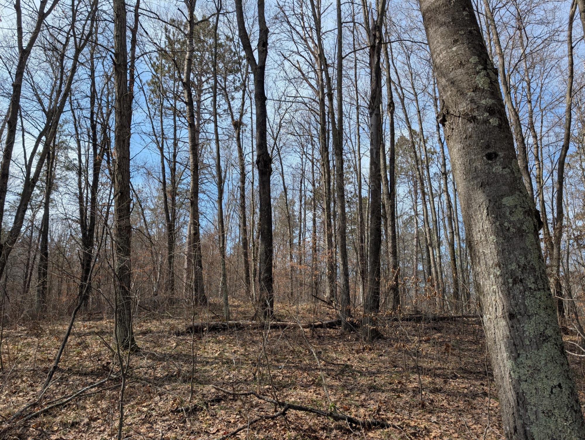 0 Other Springbrook, WI 54875 - Photo 21 of 27 Gallery Image 21