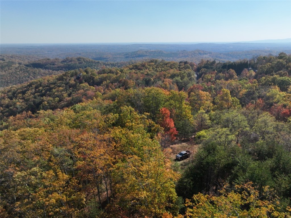 106 Ridge Pass Way Landrum, SC 29356 - Photo 8 of 23 Gallery Image 8