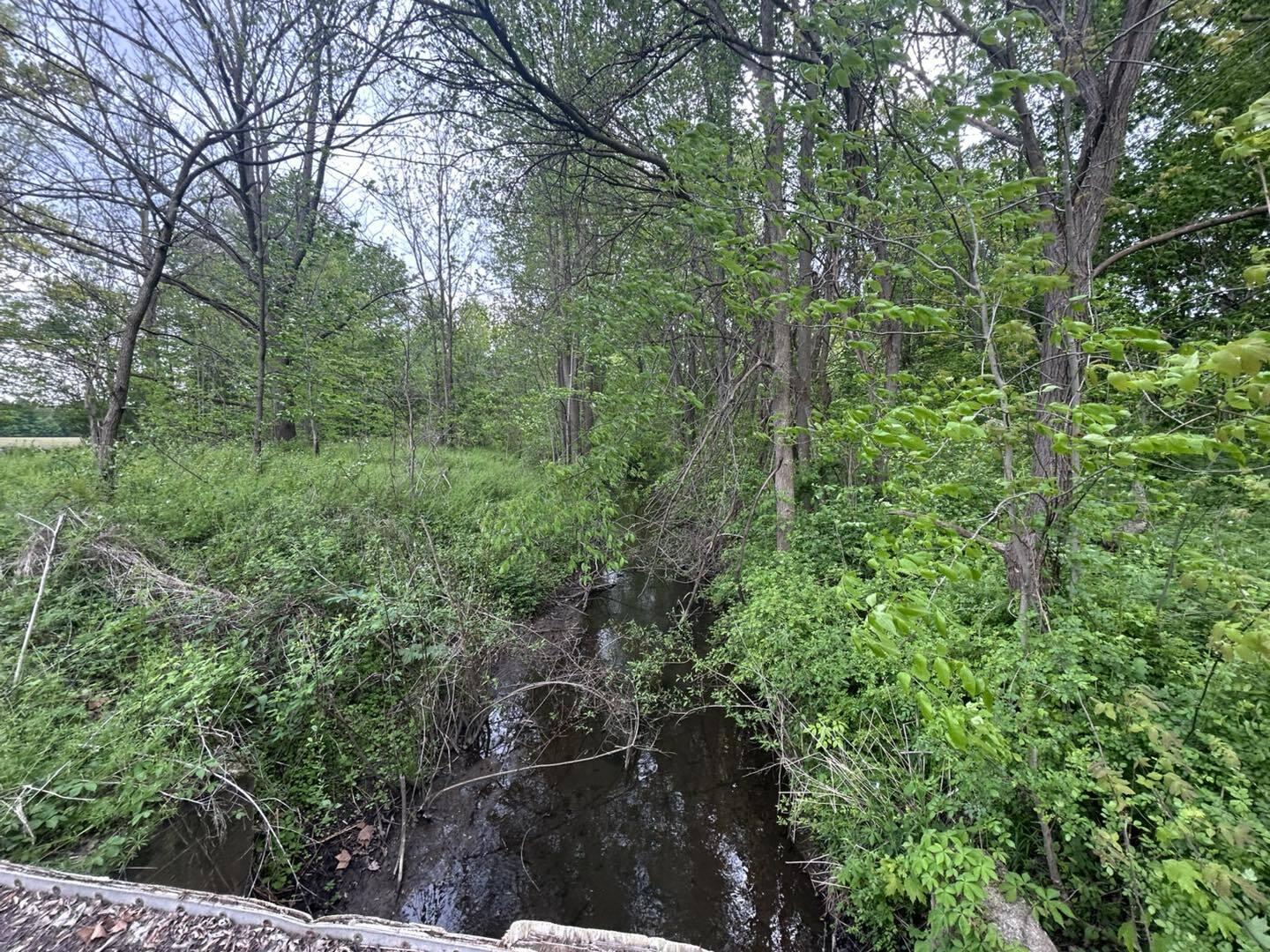 Vl Litchfield Road Quincy, MI 49082 - Photo 11 of 26 LF11