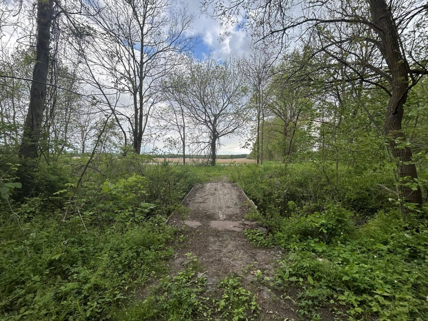 Vl Litchfield Road Quincy, MI 49082 - Photo 12 of 26 LF12