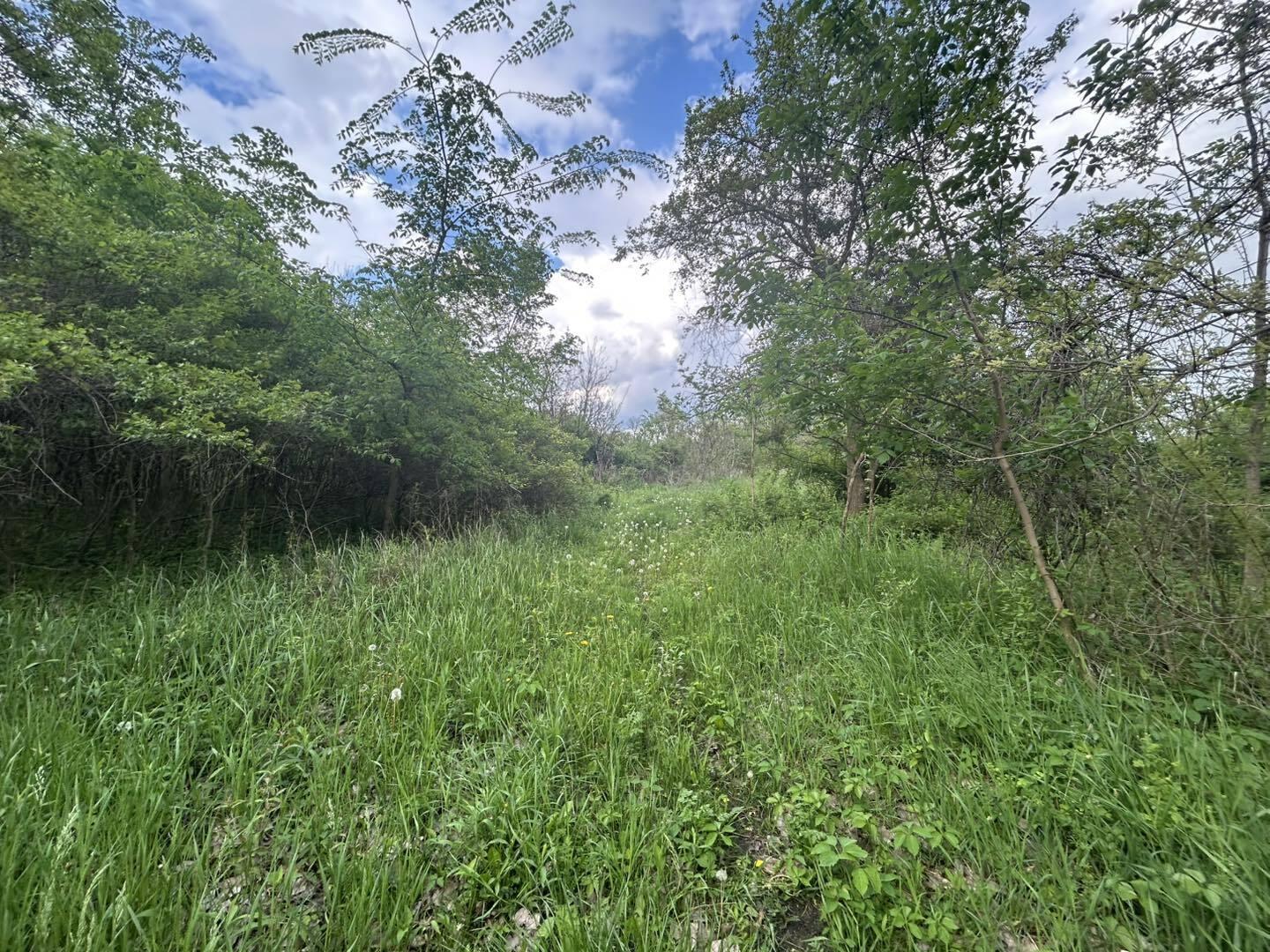 Vl Litchfield Road Quincy, MI 49082 - Photo 13 of 26 LF13