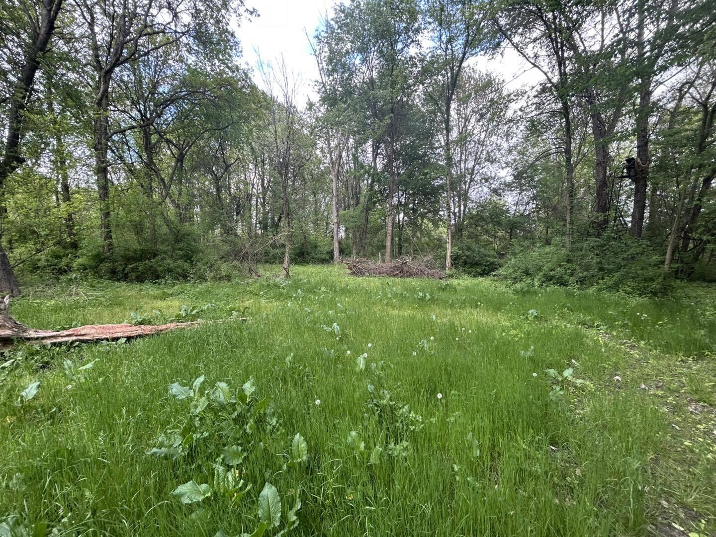 Vl Litchfield Road Quincy, MI 49082 - Photo 14 of 26 LF14