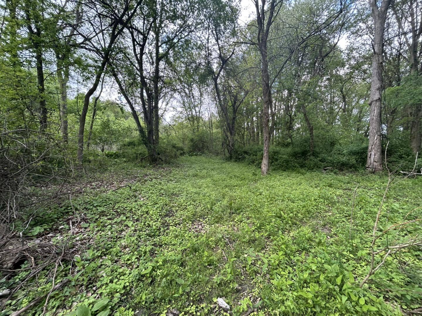 Vl Litchfield Road Quincy, MI 49082 - Photo 15 of 26 LF15