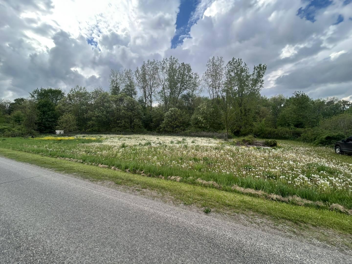 Vl Litchfield Road Quincy, MI 49082 - Photo 16 of 26 LF16