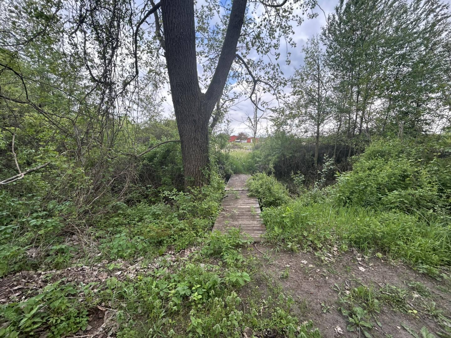Vl Litchfield Road Quincy, MI 49082 - Photo 18 of 26 LF18