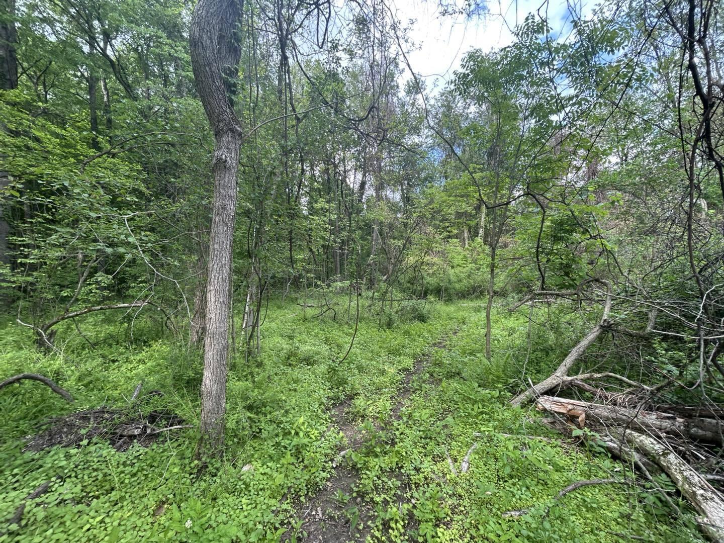 Vl Litchfield Road Quincy, MI 49082 - Photo 2 of 26 LF2