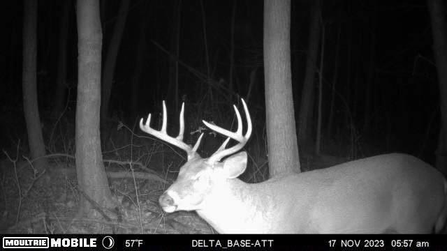 Vl Litchfield Road Quincy, MI 49082 - Photo 22 of 26 LF22