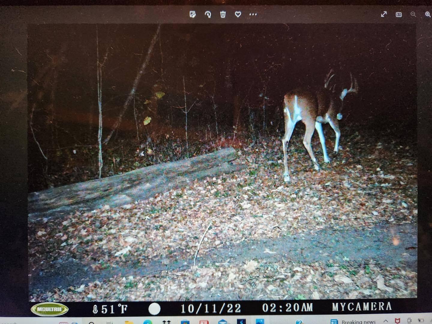 Vl Litchfield Road Quincy, MI 49082 - Photo 25 of 26 LF25