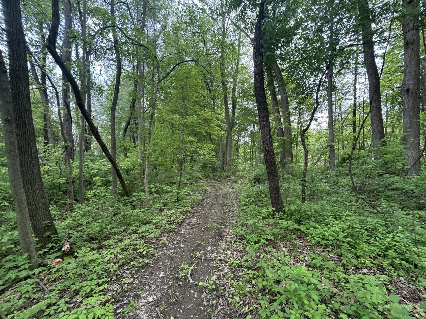 Vl Litchfield Road Quincy, MI 49082 - Photo 3 of 26 LF3