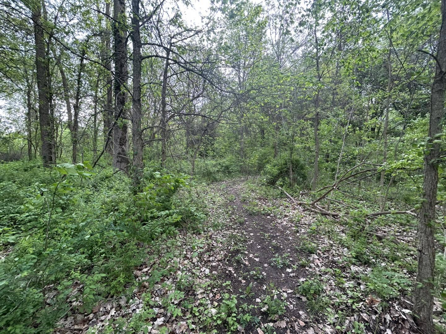 Vl Litchfield Road Quincy, MI 49082 - Photo 4 of 26 LF4