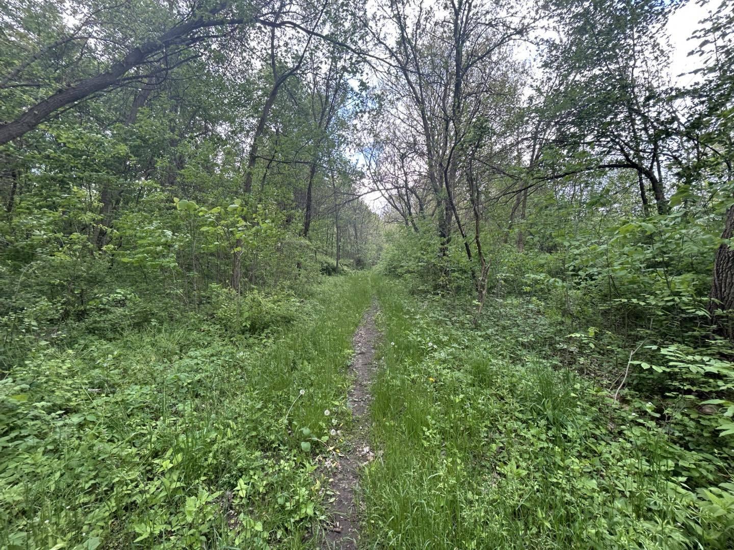 Vl Litchfield Road Quincy, MI 49082 - Photo 6 of 26 LF6