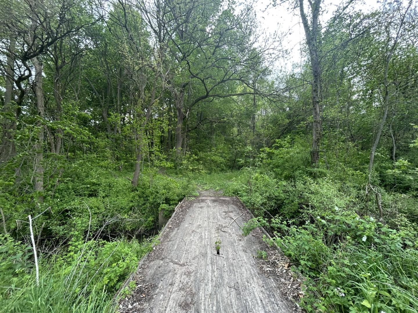 Vl Litchfield Road Quincy, MI 49082 - Photo 10 of 26 LF10